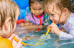 iStock-1358346856.jpg