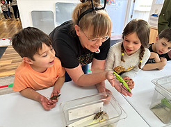 sandra teaching with bugs.jpg