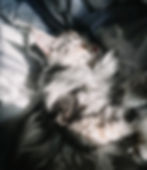 9B2254C3-D8B3-4FFA-AD54-50AE923A86CC_edited