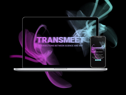 TRANSMEET