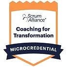 /courses/coaching-for-transformation%3A-sustaining-change