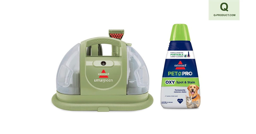 A Detailed Examination of the BISSELL Little Green Portable Carpet