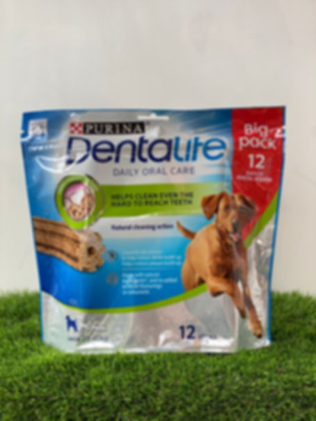 DentaLife Large Daily Oral Care