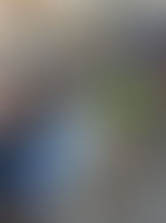 ConCil - fase concelhia