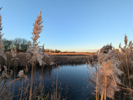 Walk and Talk Therapy in Cambridge: The Benefits of Nature and Conversation