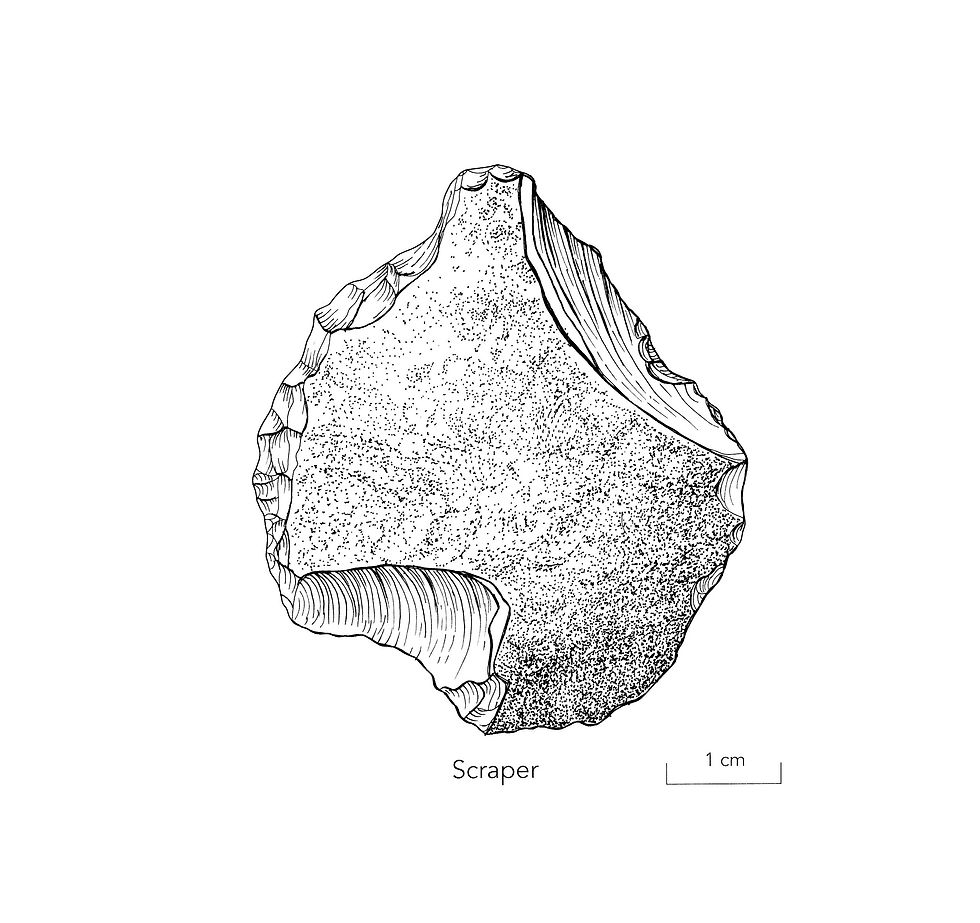 Scraper Stone Tool