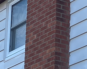 IMG_4123.png