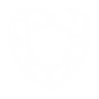 heart shaped diamonds.webp