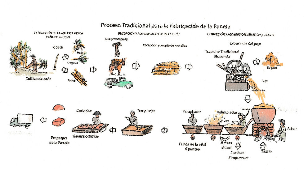 Image (17)