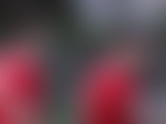 Döntetlennel búcsúztunk hazai közönségünktől