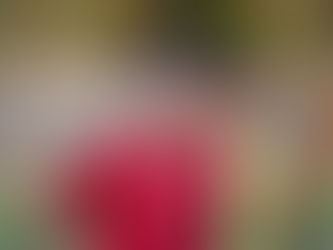 Balszerencsés vereség a MOL Magyar Kupában