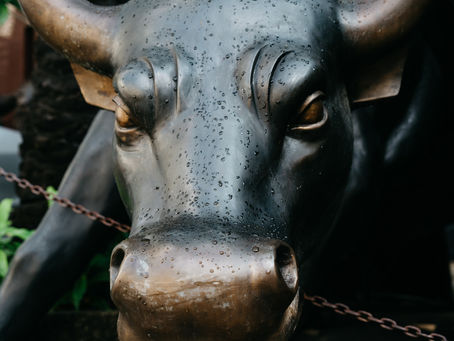 Tech Guy Opening Calls & Comments 11/14/23