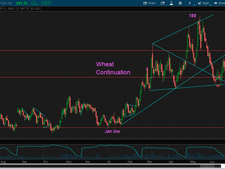 Tech Guy Wheat Perspective - 6/22/26