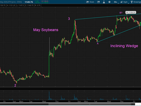 Tech Guy Grains Analysis 2/16/26