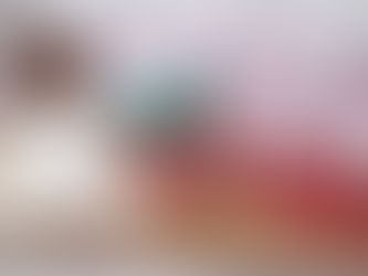 今日はライブ配信です♪