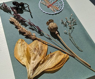 Cyanotype printing with kids - Suzanne Morris - 8.jpg