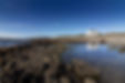 IMG_2853.jpeg