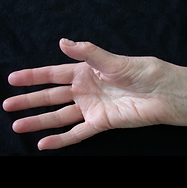 Untitled design (2).png