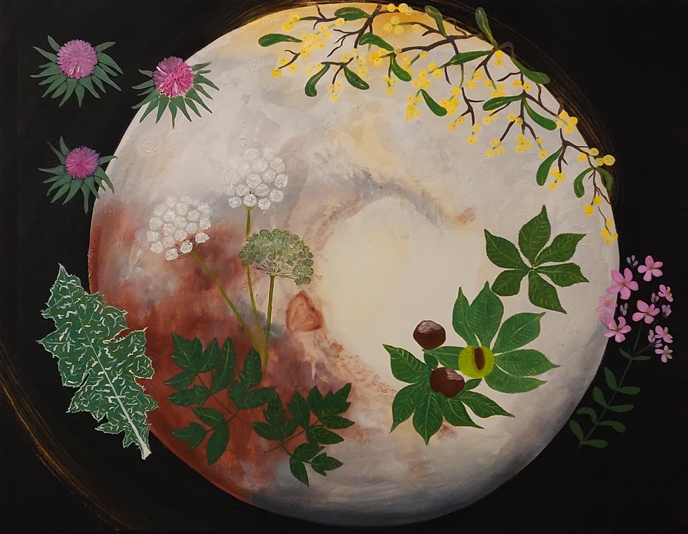 Pluto/Sternzeichen Skorpion