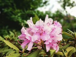 Das schönste an dieser Jahreszeit ist es