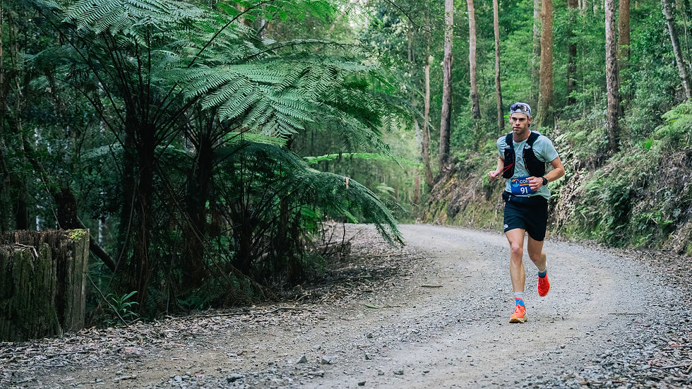 Amidst the towering trees and lush tree ferns of Bindarri National Park, a lone runner carves his path through the tranquil forest trail - Photo Credits Keelan Birch
