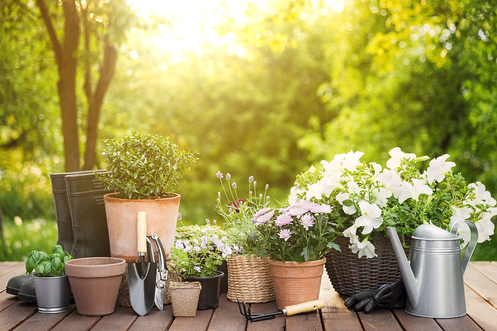 different-potted-blooming-flowers-and-herbs-garde-2026-03-20-00-47-22-utc.jpg