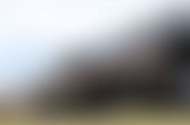 The Road to Paradise