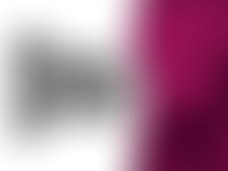 Influencer Procurement Services New York