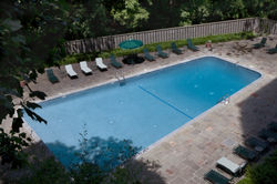 13_Cathedral Coop Pool 1.jpg