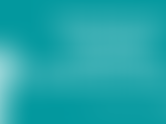 Fostering an Inclusive Corporate Culture