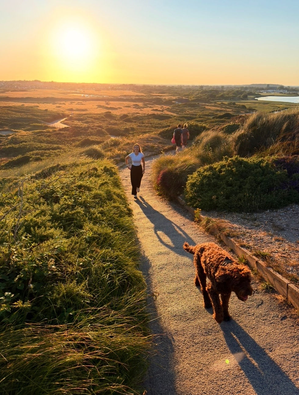 If we walk the same route every day, eventually we will create a well-worn path: the brain works the same way.