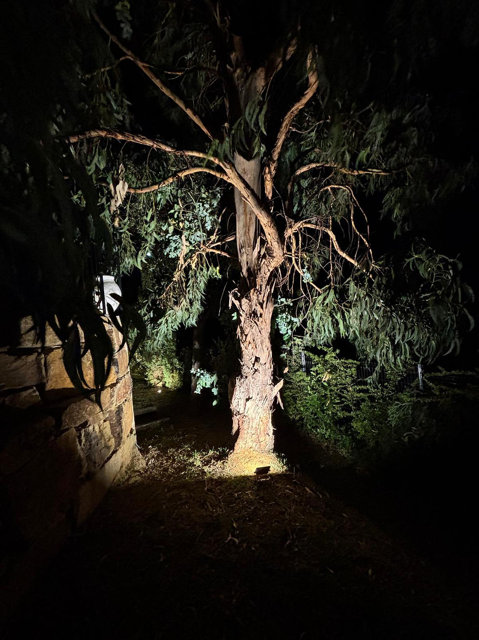 éclairage gros sujet