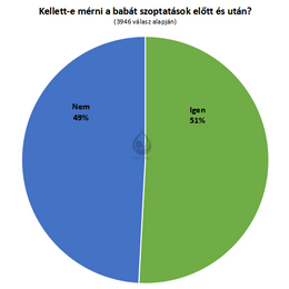 13. merleg.png