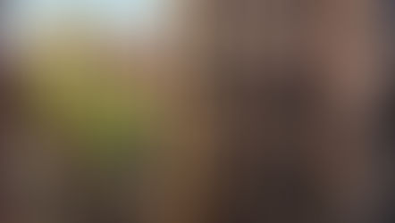 Vistas Nueva Oficina en Madrid