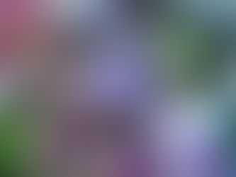 お正月フラワーのご案内