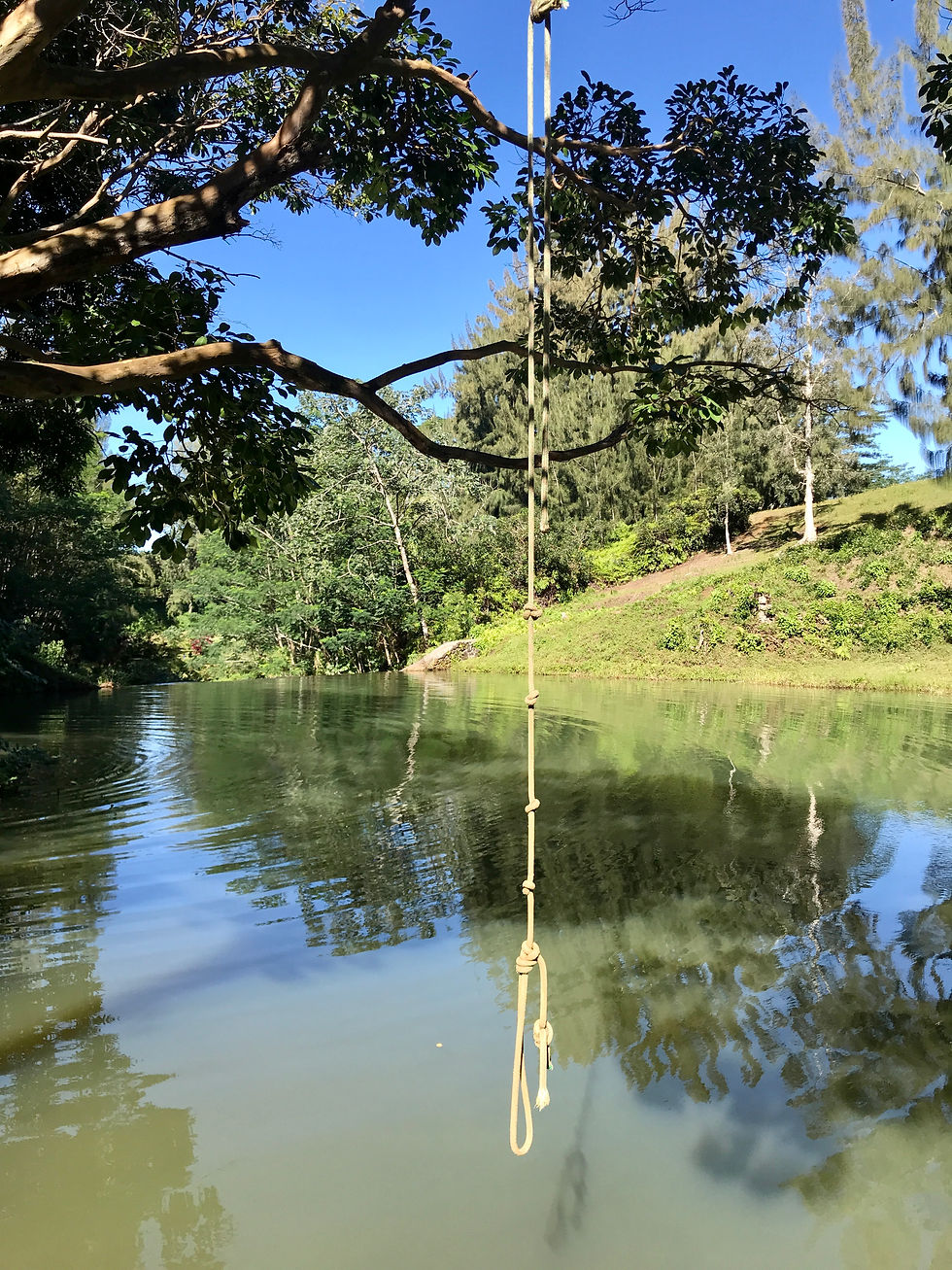 A rope swing on the Wai koa Loop trail