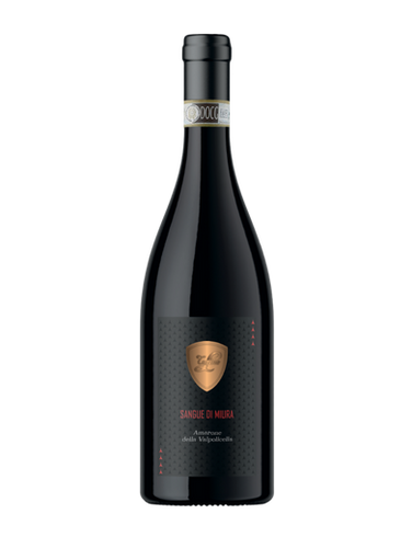 Tonino Lamborguini Amarone Delle Valpolicella DOCG 2020 750ml