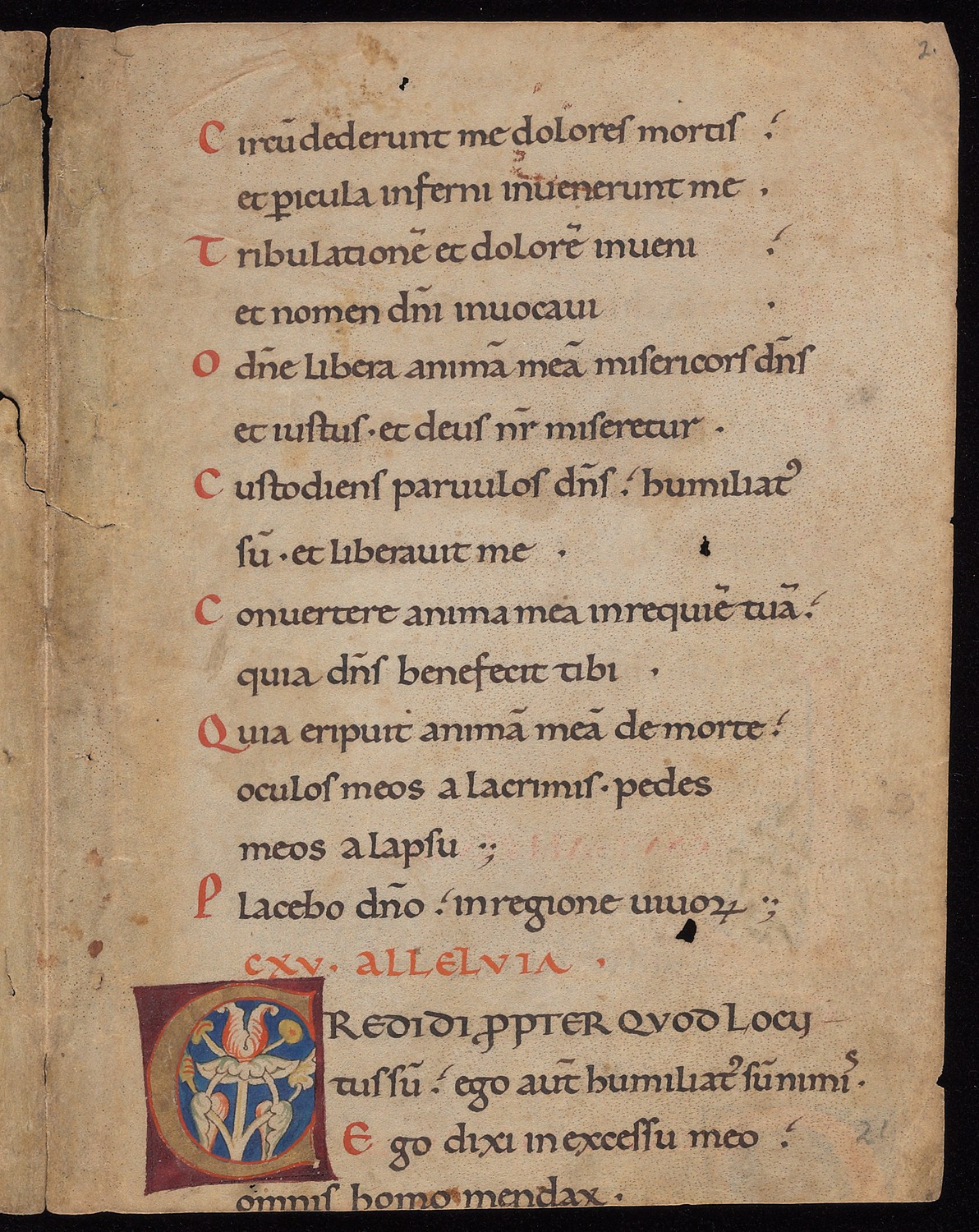 35. Beinecke MS 382, f. 2r (color)
