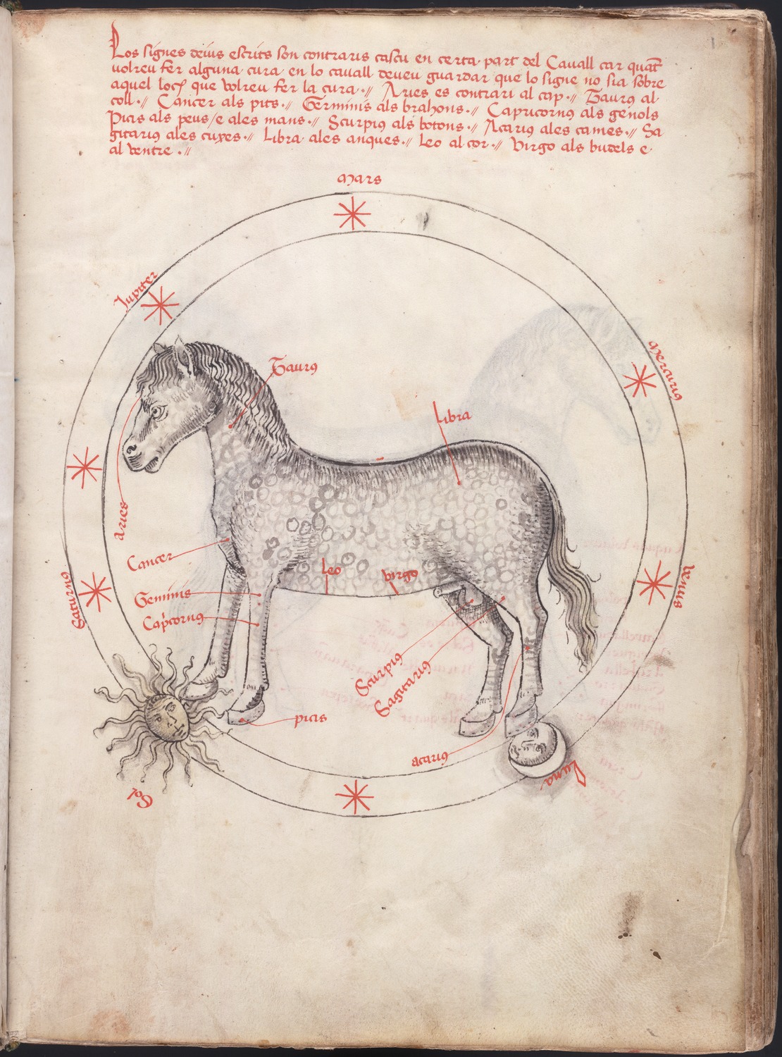 99. Beinecke MS 454, f. 1r (color).