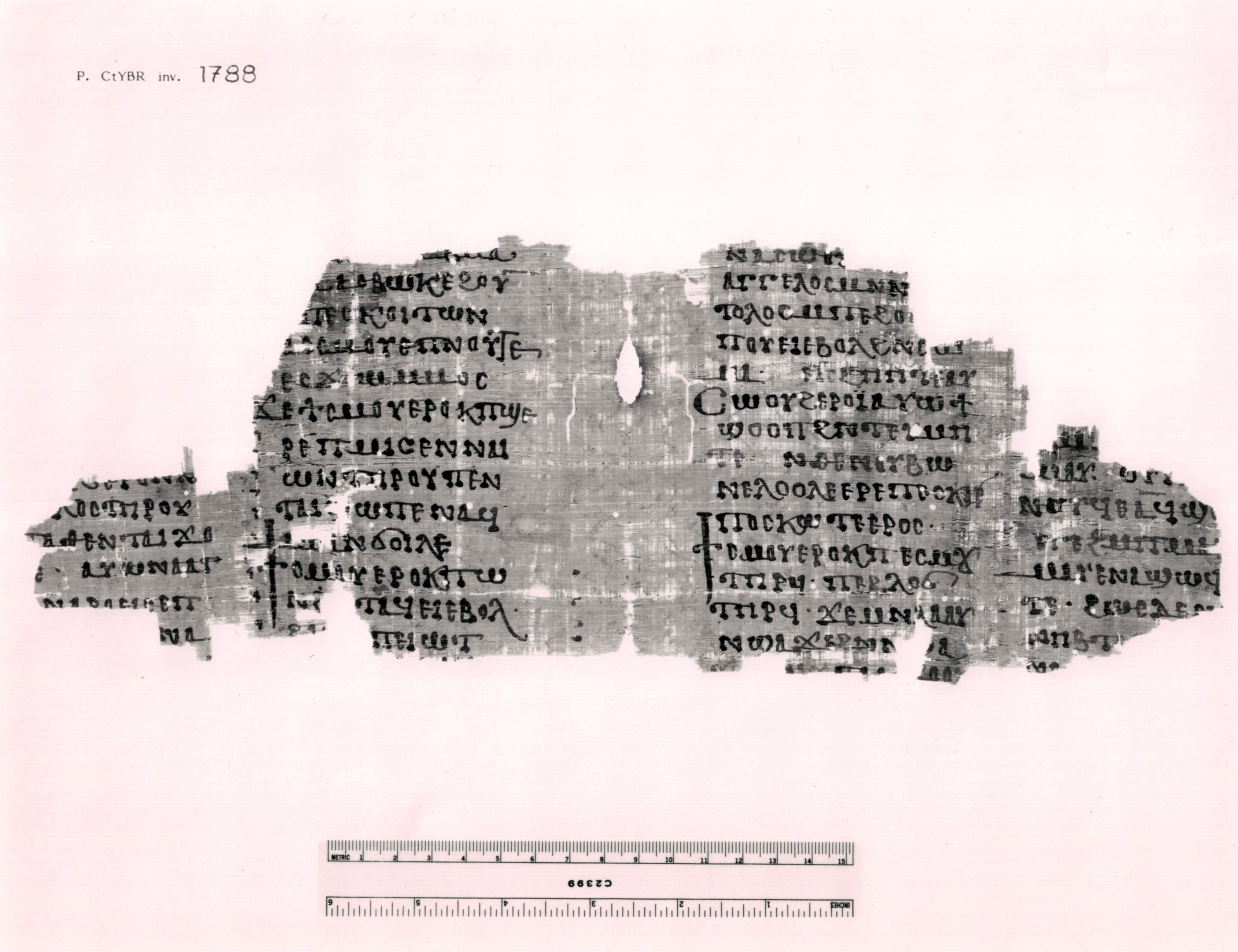 3. P.CtYBR inv. 1788.jpeg