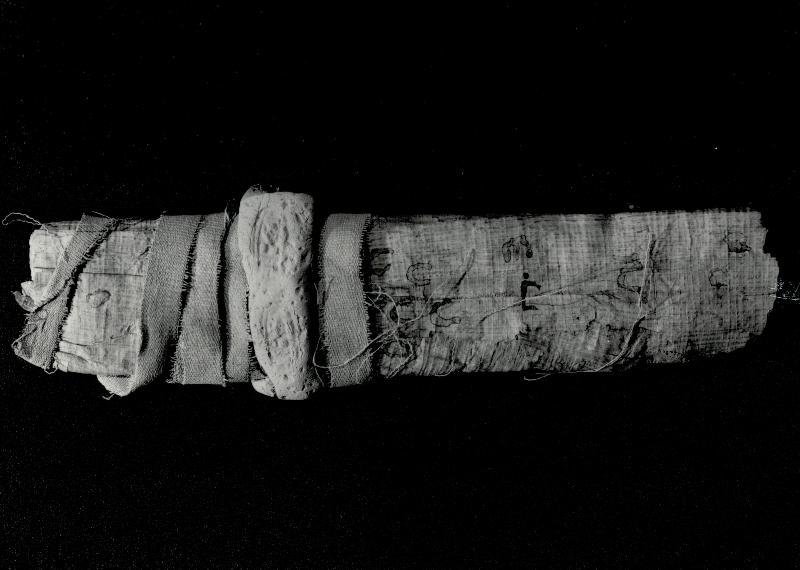 2. P.CtYBR inv. 2753