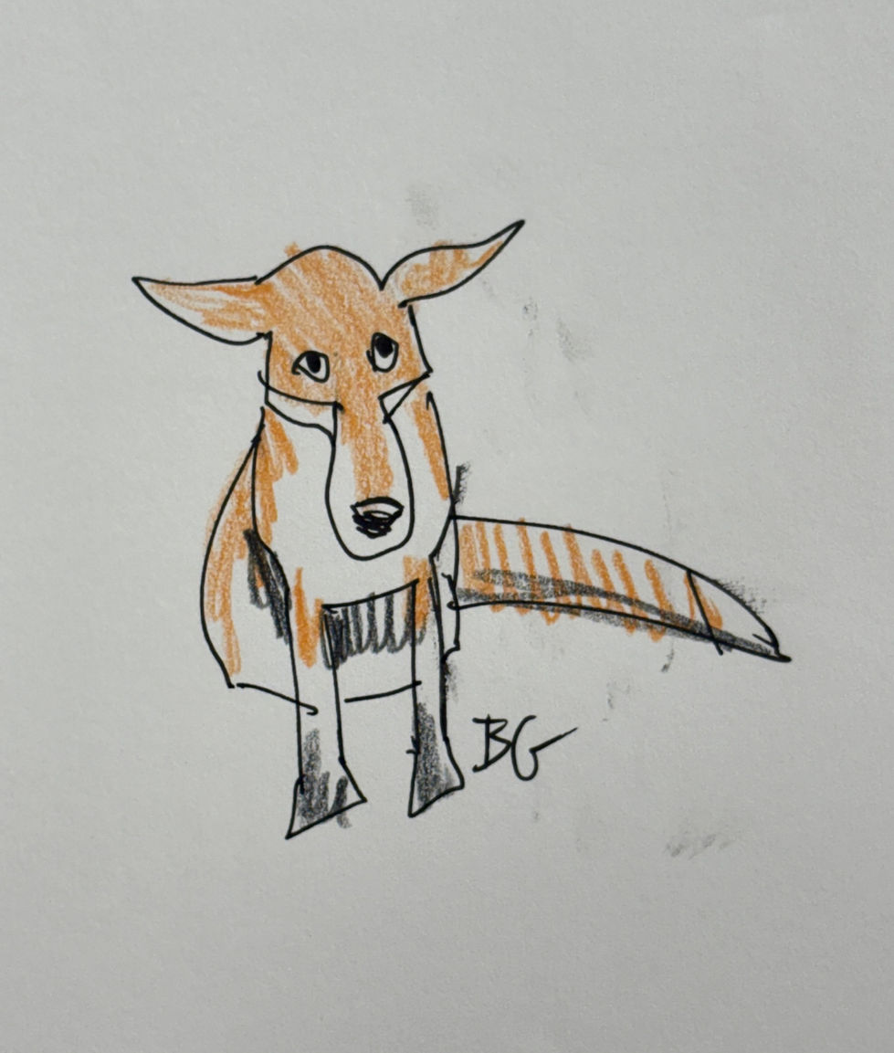 Fox Drawing
