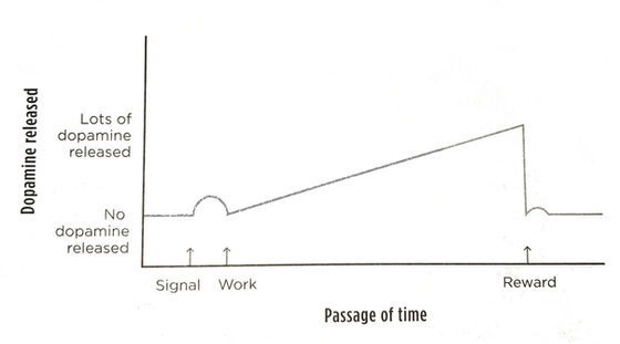 The Allure of Chaos