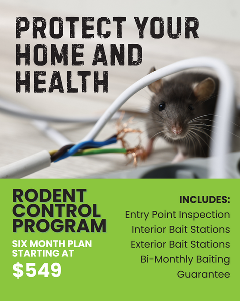 RODENT PRO PLAN 2025.png