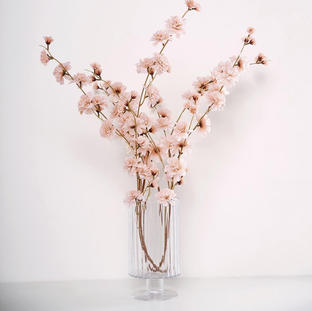 $2 per stem 42_ Champagne Pink Carnation Flower Spray (10 available).jpeg