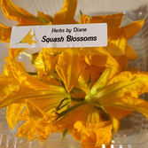 squash blossoms.jpeg