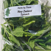new zealand spinch.jpeg
