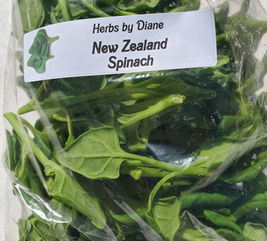 new zealand spinch.jpeg