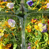 shoots and edible flowers.jpeg
