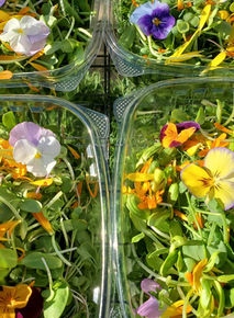 shoots and edible flowers.jpeg